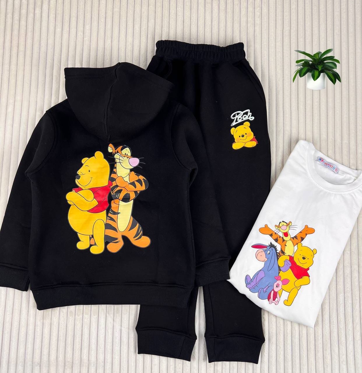 WhatsApp Image 2026-01-16 at 7.41.45 PM (2)