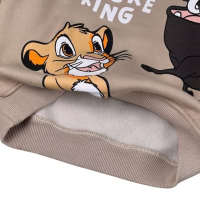 WhatsApp Image 2026-01-16 at 7.49.17 PM