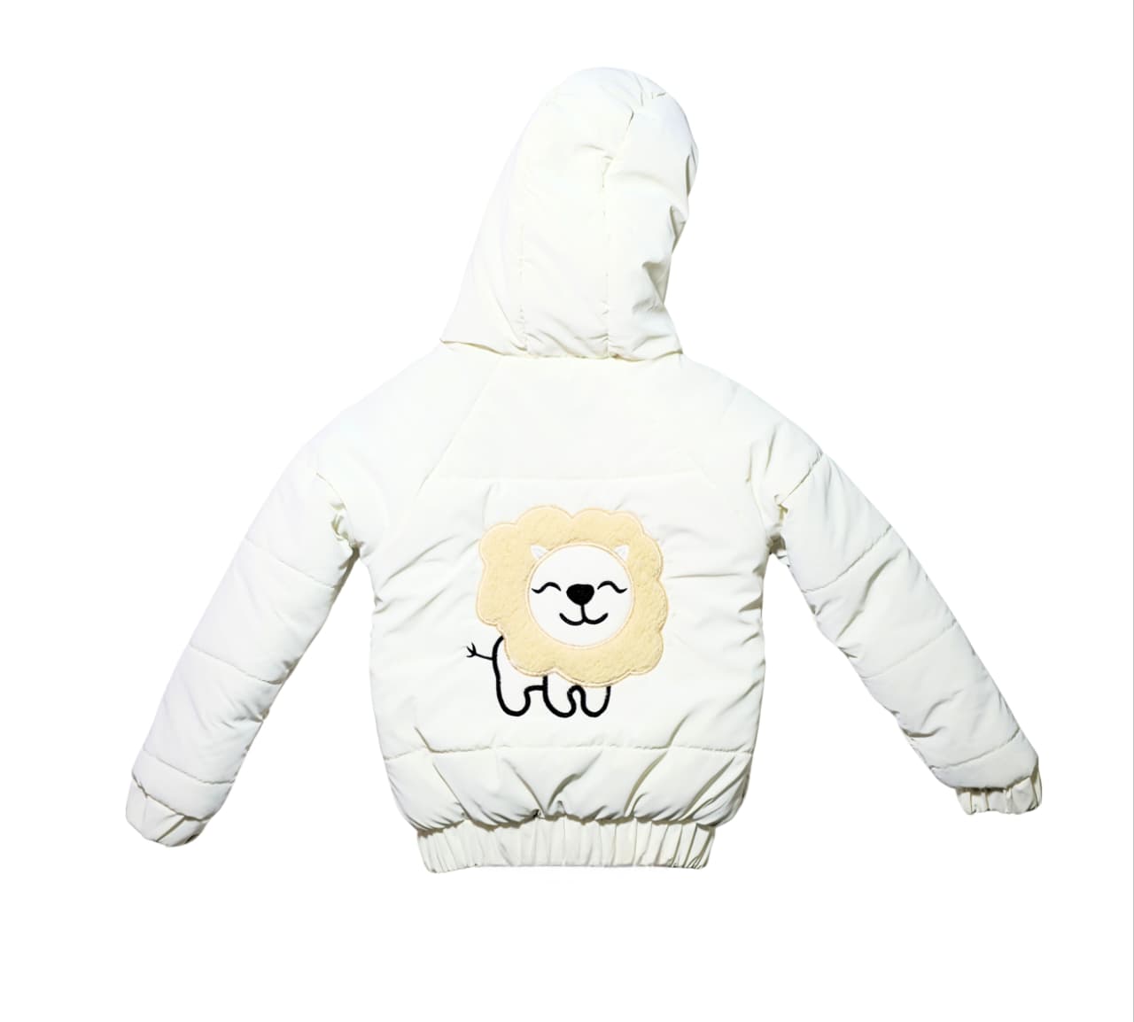 WhatsApp Image 2026-01-17 at 7.20.03 PM (1)